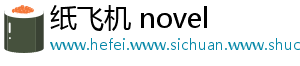 纸飞机 novel